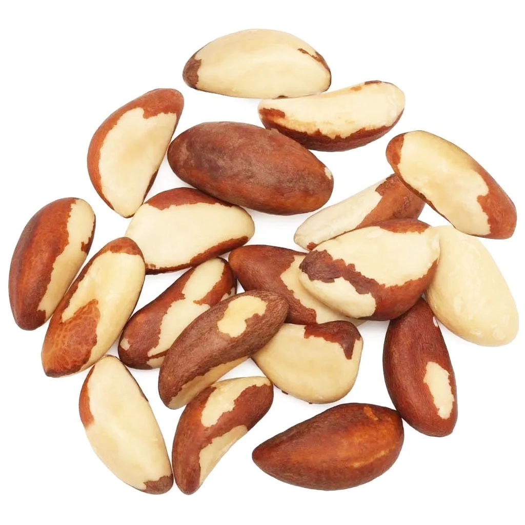 Nueces De Brasil Suelto